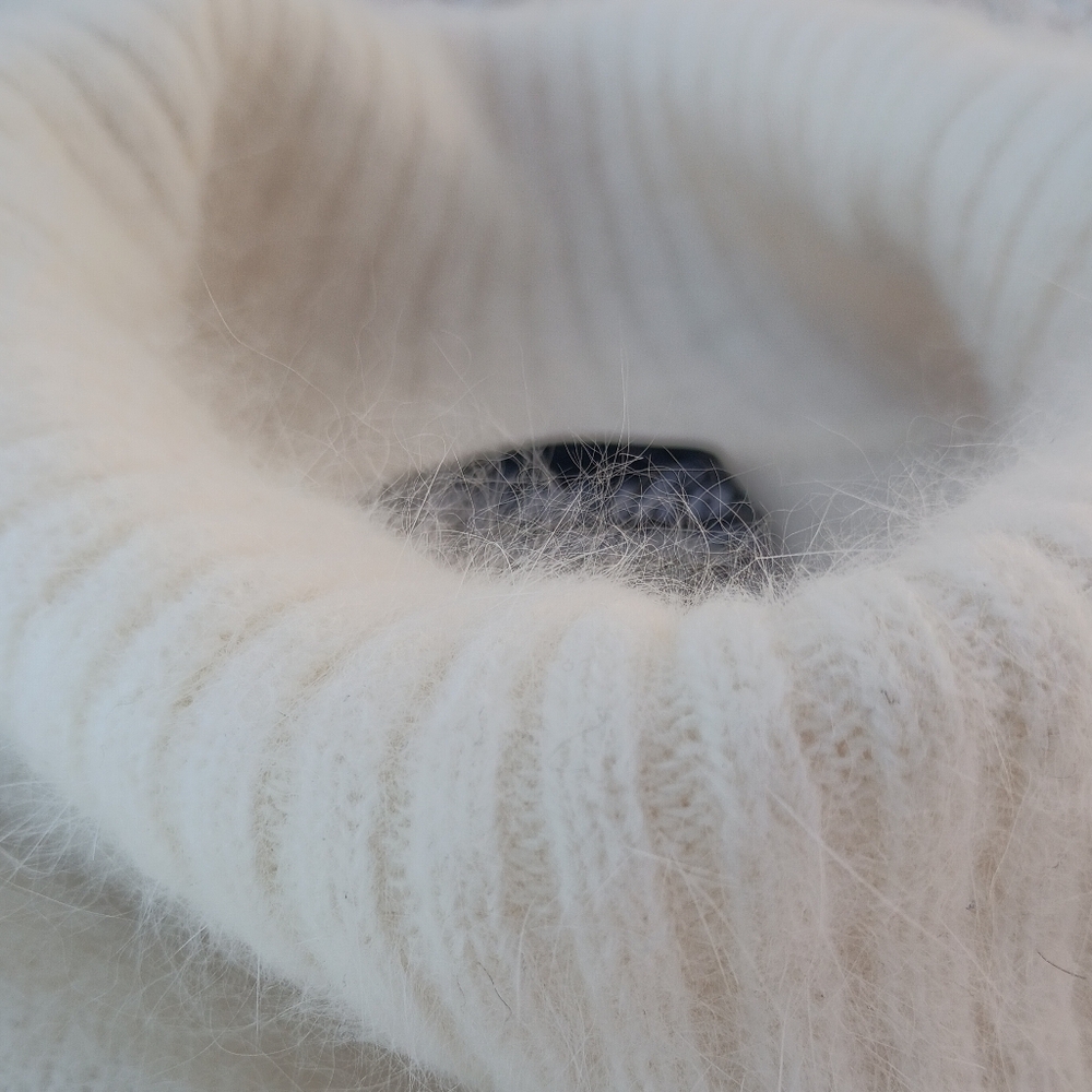 Venesha Vintage 80% Angora Rabbit Hair Fur Fuzzy Turtleneck Sweater Large ๐๐โจ - Picture 9 of 16